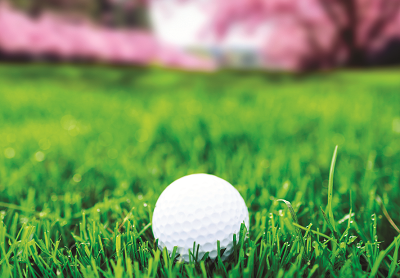 banner_button_1